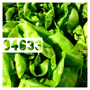 94633 Living Lettuce iPhone Organic Show Artist Dean Allan McCready